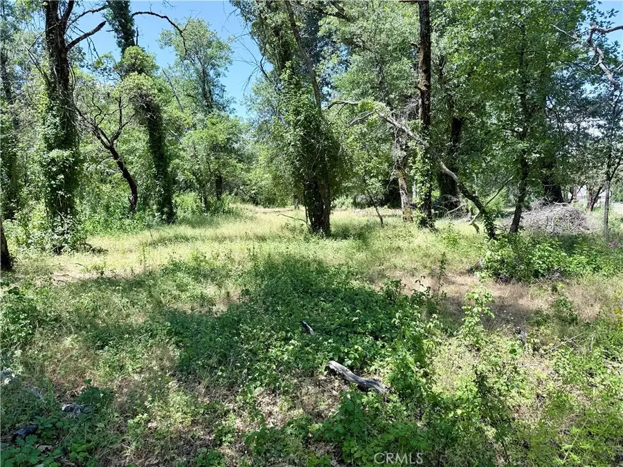 1343 Shady Lane, Lakeport, CA 95453 - #3
