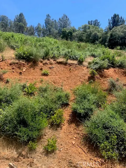 3150 Skyline, Kelseyville, CA 95451 - #2