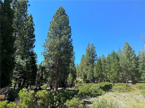 1 Canyon Creek Rd, California Pines, CA 96101