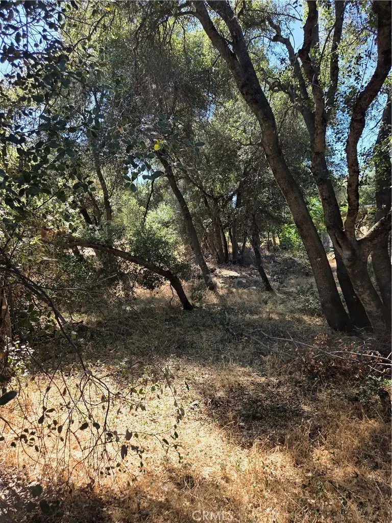 13692 Fair Oak, Clearlake, CA 95424 - #1