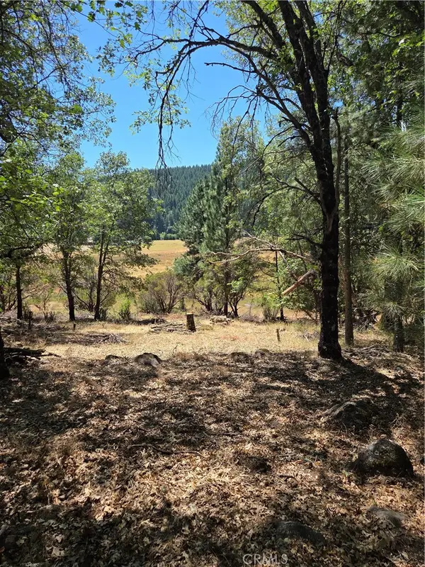 9655 Mountain Meadow, Kelseyville, CA 95451