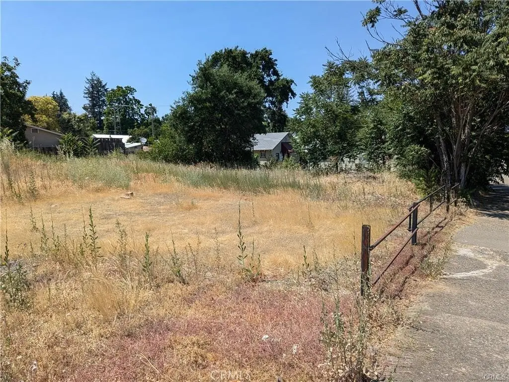 455 N Forbes Street, Lakeport, CA 95453 - #1