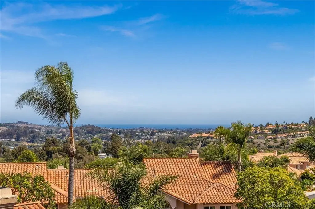 29466 Christiana Way, Laguna Niguel, CA 92677 - #1