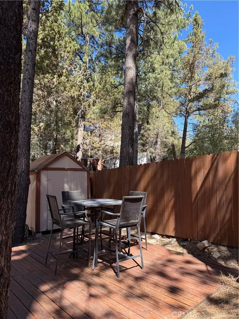 42870 Encino, Big Bear Lake, CA 92315 - #3