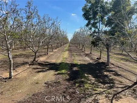 1081 E Gerard Avenue, Merced, CA 95341 - #3