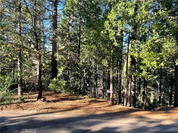 22447 Ponderosa Dr, Twain Harte, CA 95383