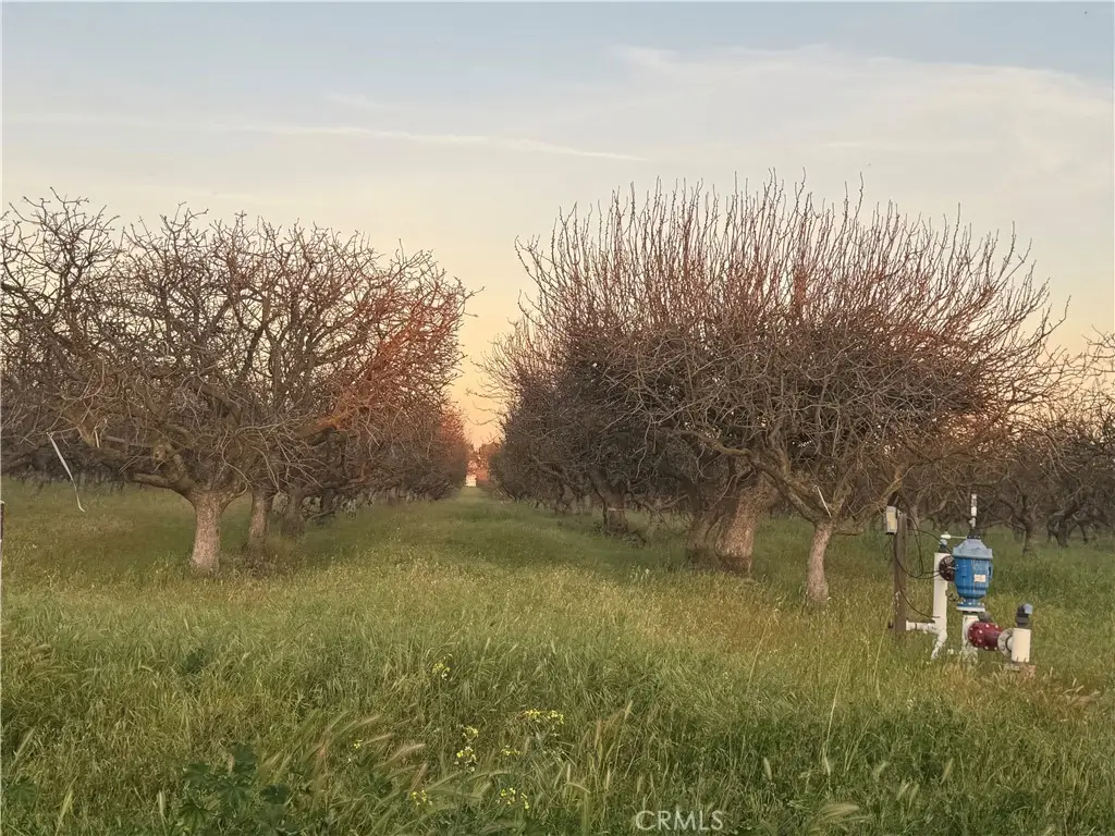 0 Road 30, Madera, CA 93638 - #1