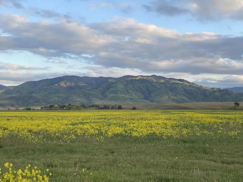 0 Panoche Road Pcl 1 Road, Paicines, CA 95043 - #1