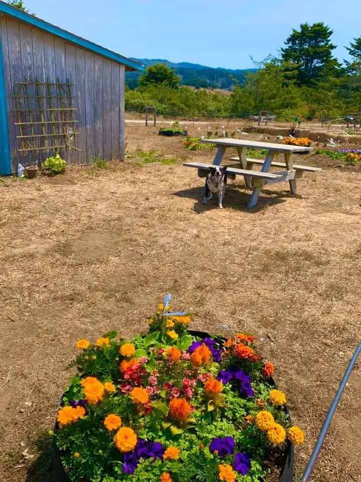 Address Withheld By Seller, Pescadero, CA 94060 - #3