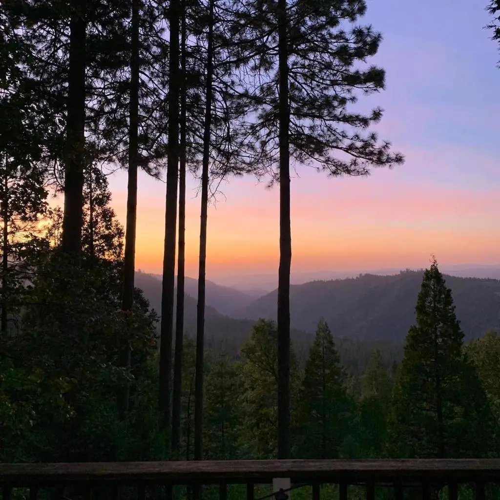 19932 Middle Camp Sugar Pine Road, Twain Harte Tuolumne City, CA 95346 - #1