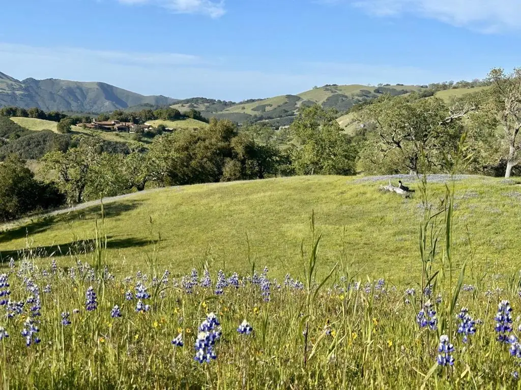8 Touche, Carmel, CA 93923 - #1