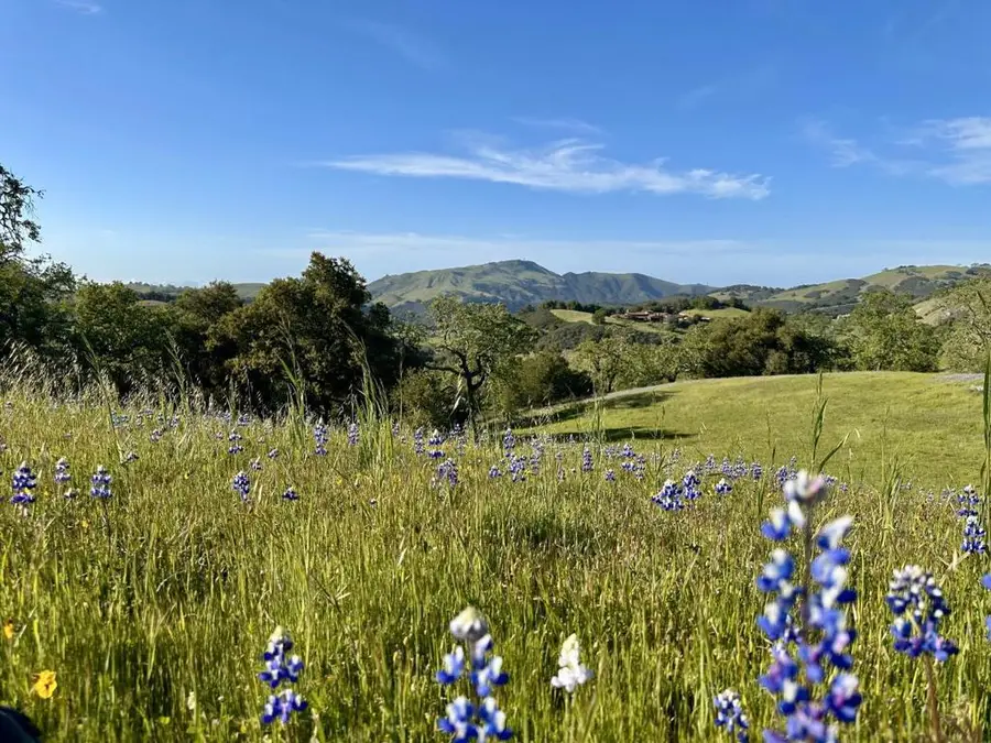 8 Touche, Carmel, CA 93923 - #2