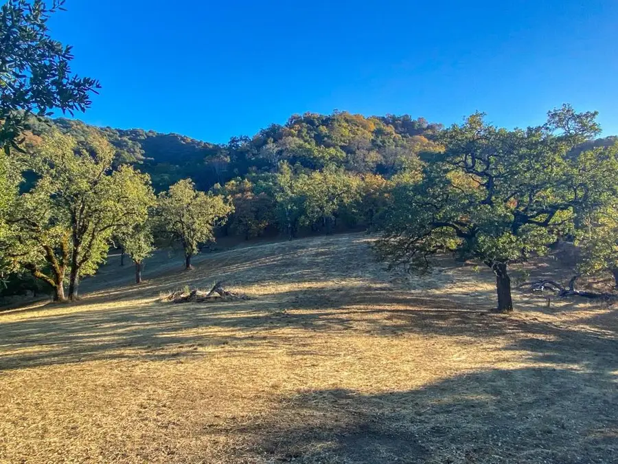 22 Arroyo Sequoia, Carmel, CA 93923 - #2