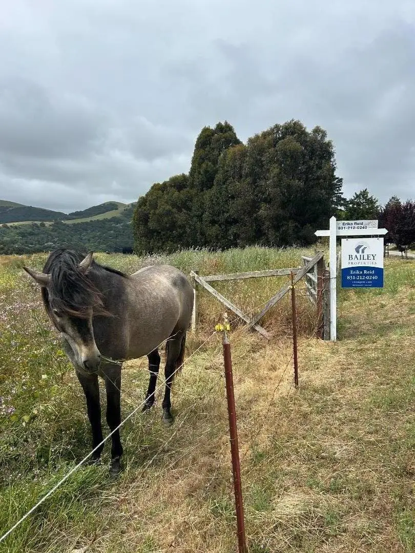 363 Orchard Hill Road, San Juan Bautista, CA 95045 - #3