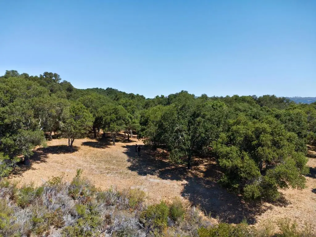 4 Holding Field Run, Carmel, CA 93923 - #1