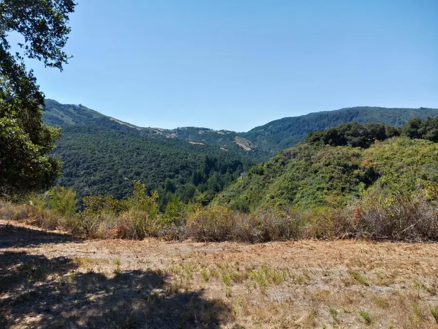 4 Holding Field Run, Carmel, CA 93923 - #2