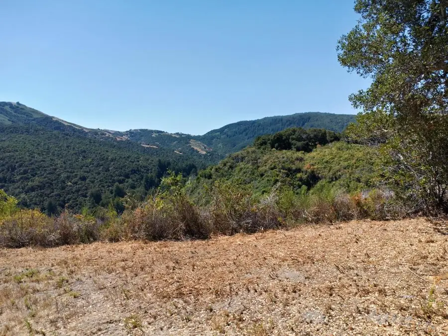 4 Holding Field Run, Carmel, CA 93923 - #3