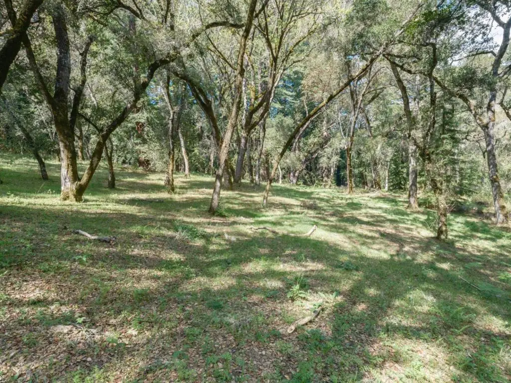 35000 Robinson Canyon Road, Carmel, CA 93923 - #1