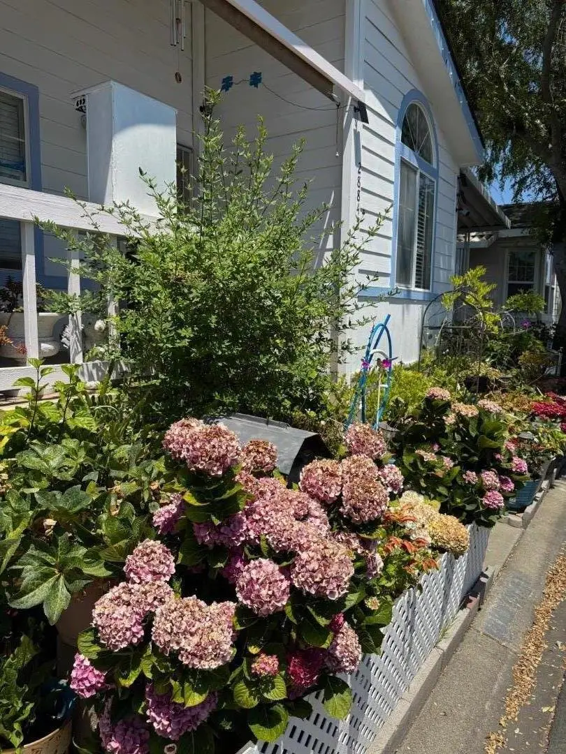 28845 La Corona Street, Hayward, CA 94544 - Image #3