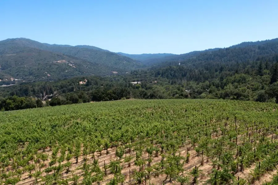 18570 Black Road, Los Gatos, CA 95033 - #2