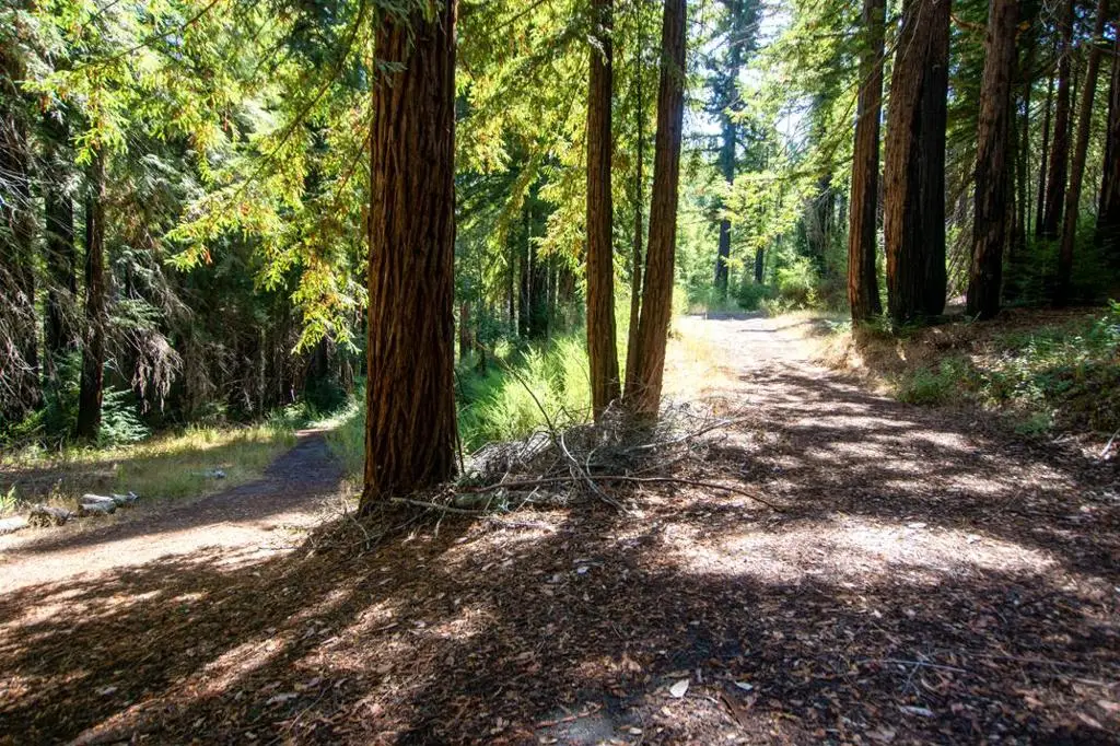 19145 Big Basin Way, Boulder Creek, CA 95006 - #1