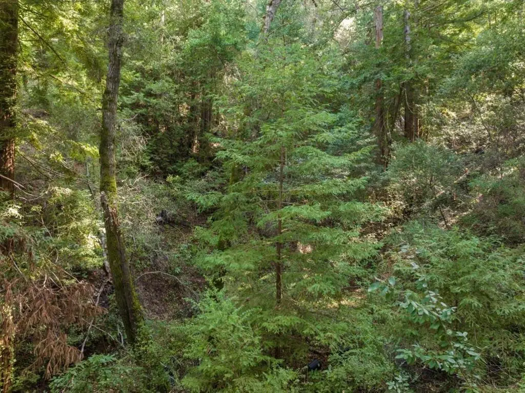 0 Lake Blvd, Felton, CA 95018 - #1