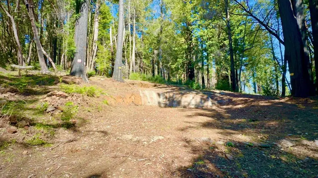 80 Conifer Lane, Santa Cruz, CA 95060 - #1