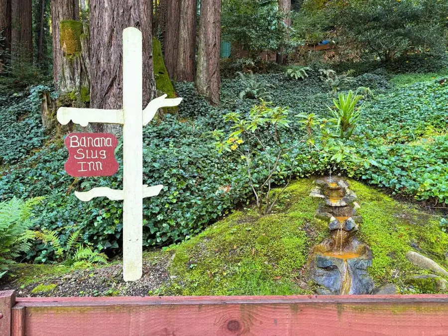 8787 Highway 9, Ben Lomond, CA 95005 - #2