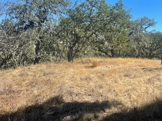 0 Cachagua Road, Carmel Valley, CA 93924 - #1