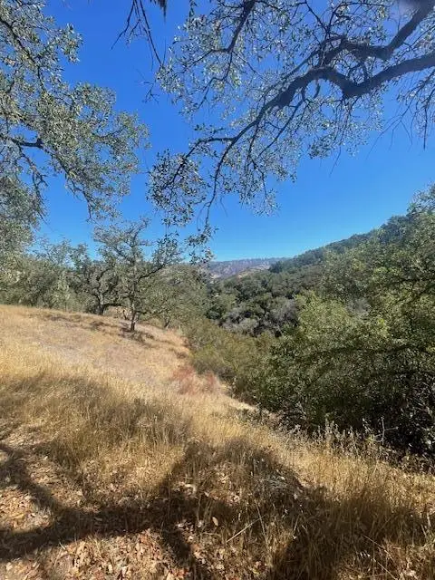 0 Cachagua Road, Carmel Valley, CA 93924 - #2