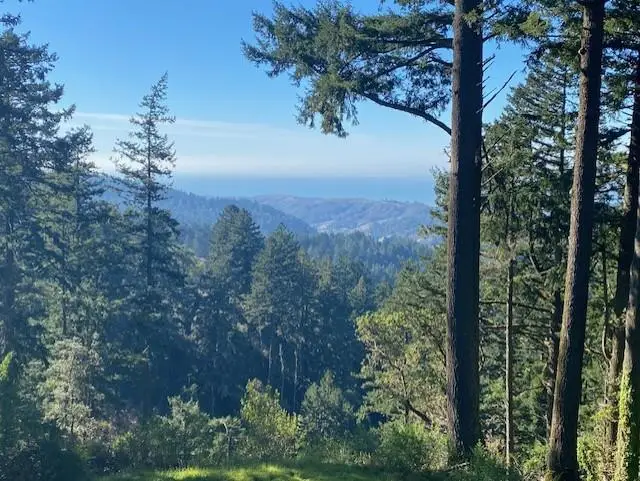 47 Forest View Road, Woodside, CA 94062 - Image #2