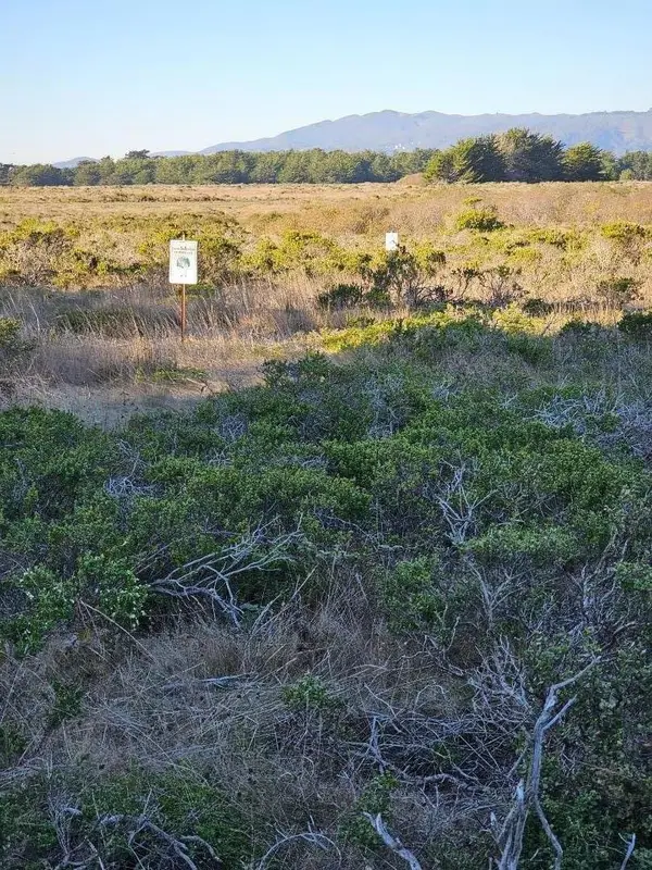 0 Rose Avenue, Half Moon Bay, CA 94019