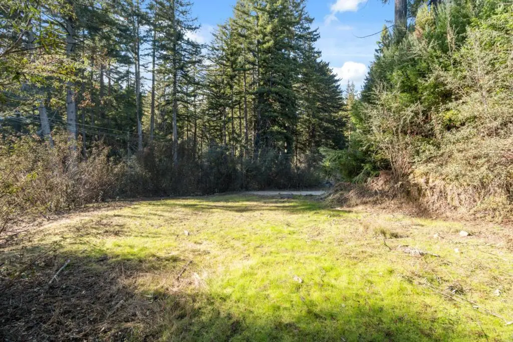 16470 Jamison Creek Road, Boulder Creek, CA 95006 - #1
