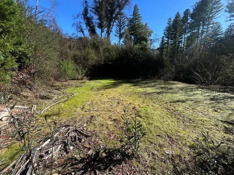 16470 Jamison Creek Road, Boulder Creek, CA 95006 - #3