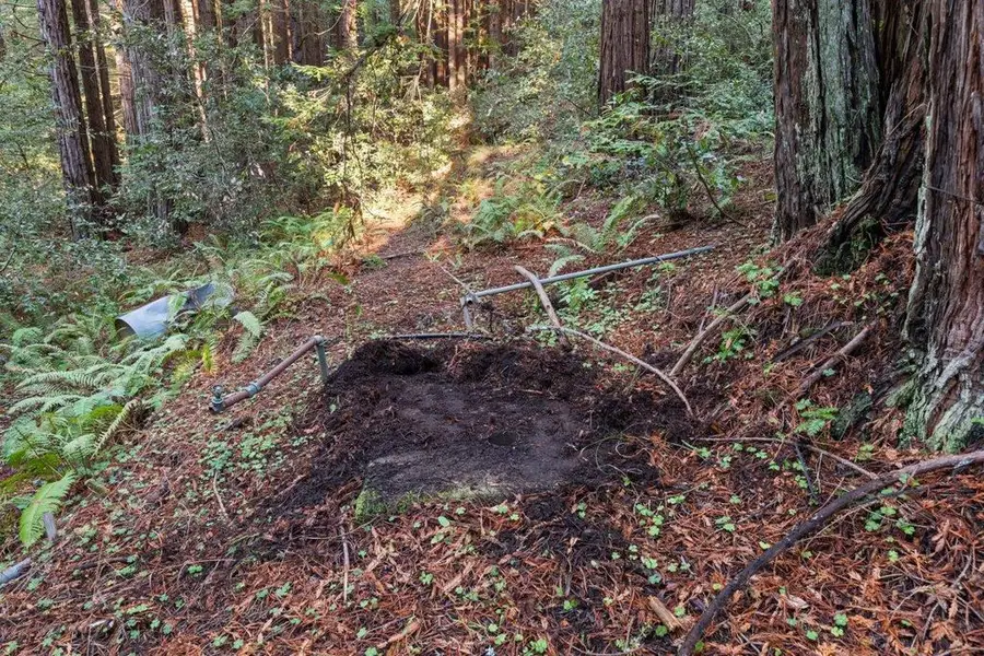 3936 Tunitas Creek Road, Half Moon Bay, CA 94019 - Image #3