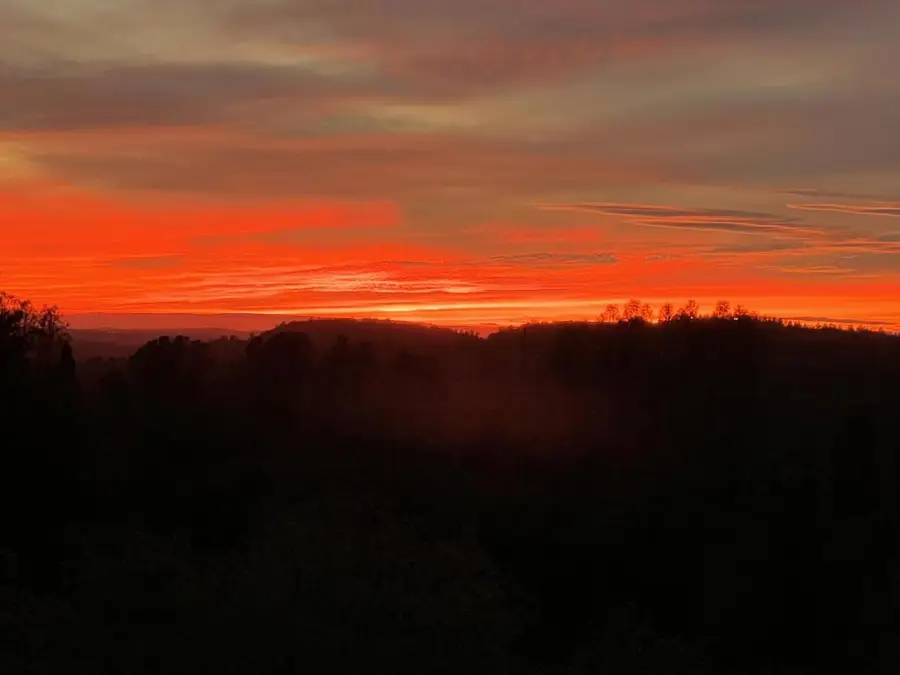 3346 Verde Robles Drive, Camino, CA 95709 - Image #3