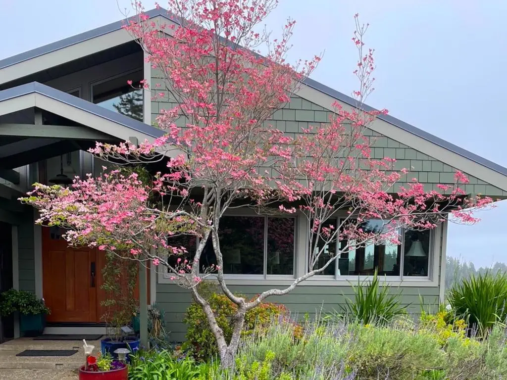 1584 Tindall Ranch Road, Corralitos, CA 95076 - Image #1