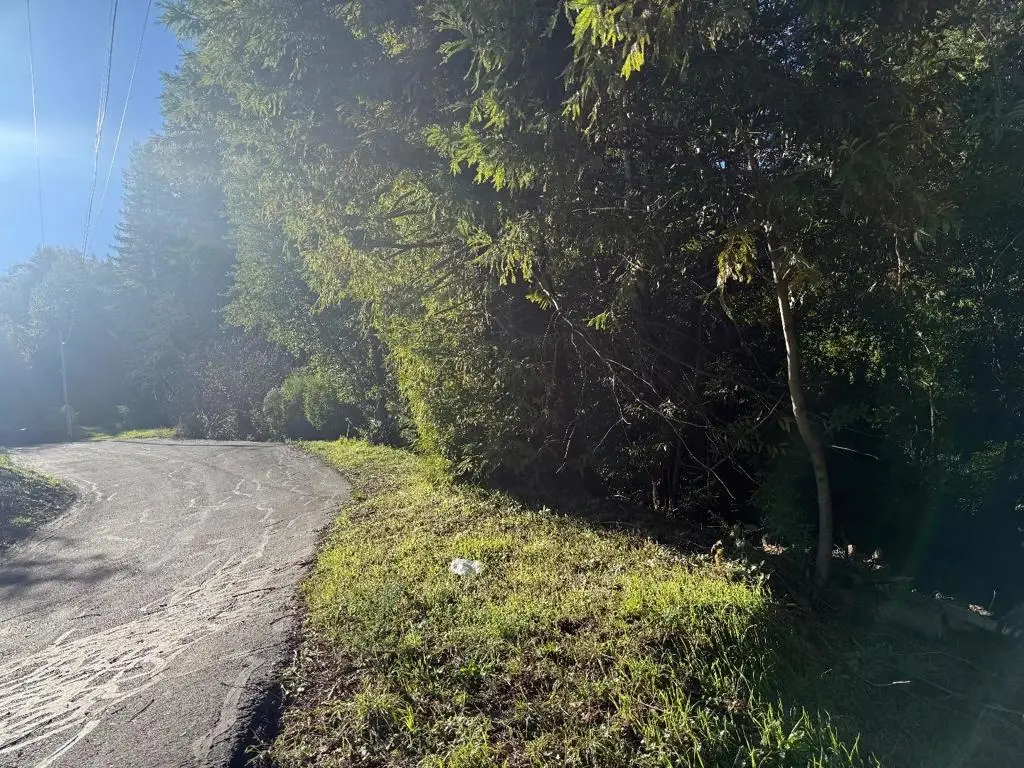 20525 Iron Springs Road, Los Gatos, CA 95033 - #1