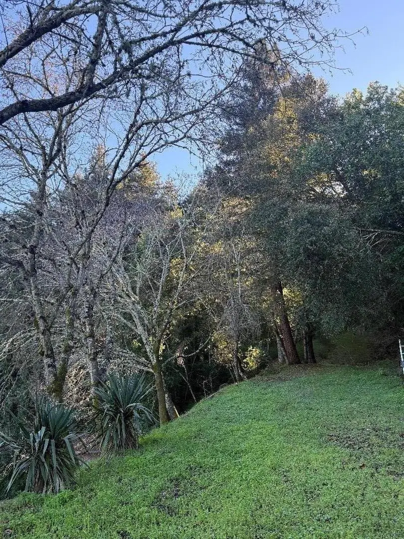20525 Iron Springs Road, Los Gatos, CA 95033 - #2