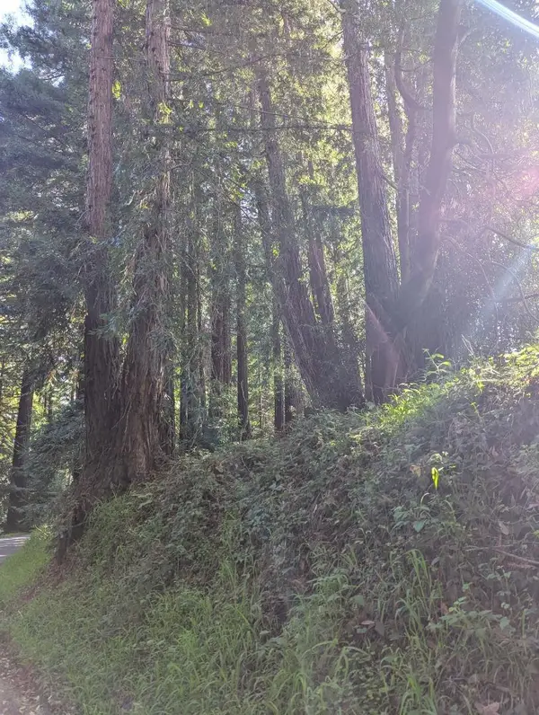 8055 Glen Haven Road, Soquel, CA 95073