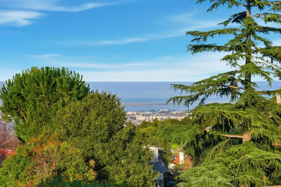 733 Temescal Way, Woodside, CA 94062 - #2