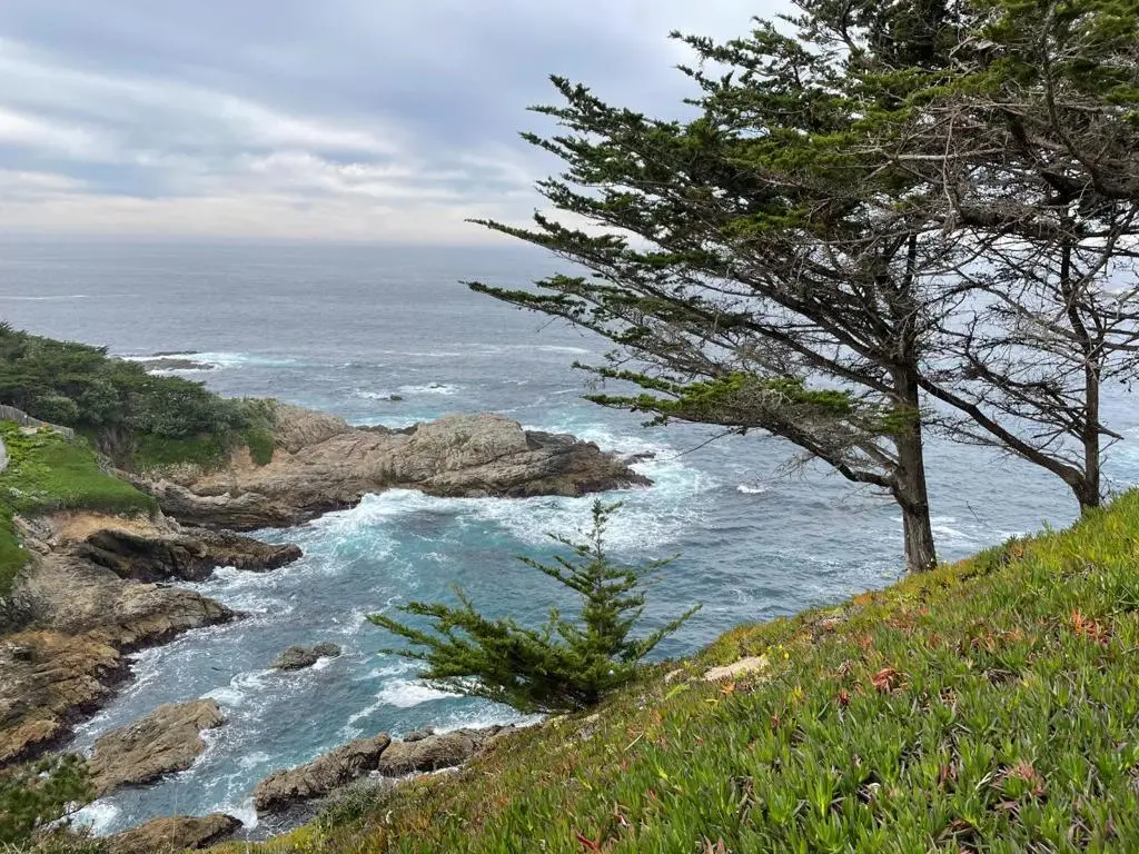 142 Carmel Riviera Drive, Carmel, CA 93923 - Image #1