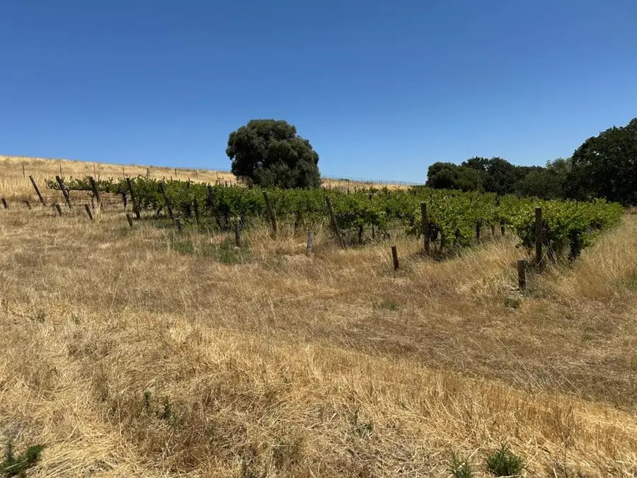 342 Kalthoff Common, Livermore, CA 94550 - #3