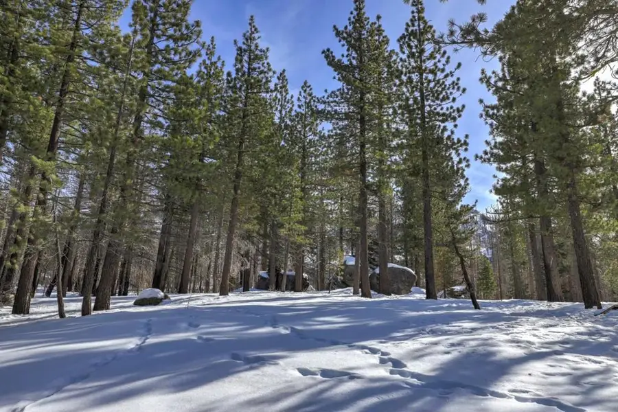 2161 Pinewood Drive, South Lake Tahoe, CA 96150 - #3