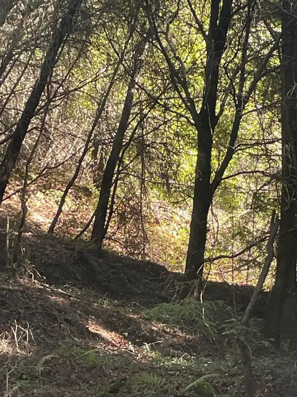 0 Redwood, Santa Cruz, CA 95060