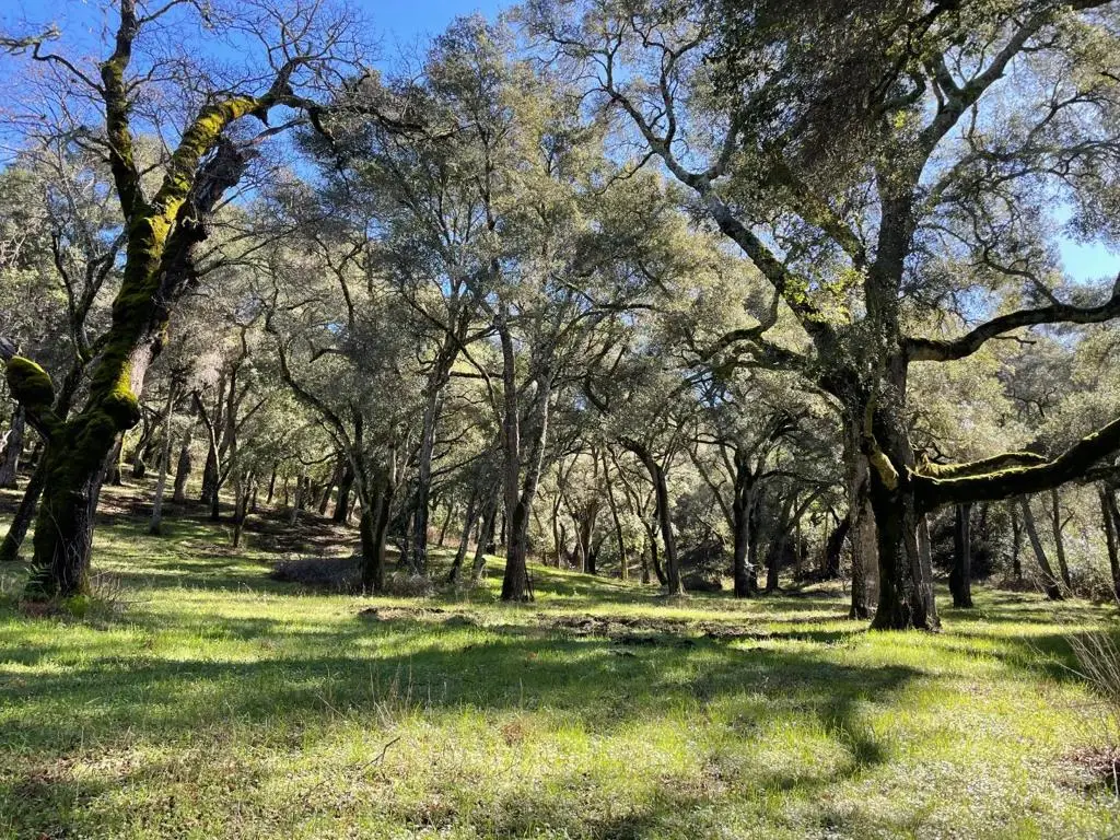 10 Garzas Trail, Carmel, CA 93923 - #1