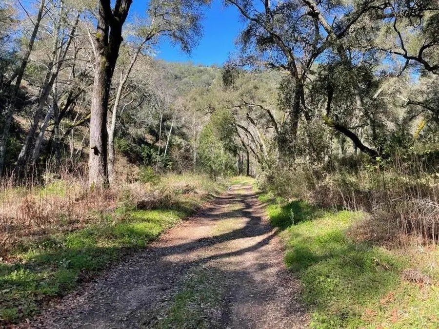 10 Garzas Trail, Carmel, CA 93923 - #2