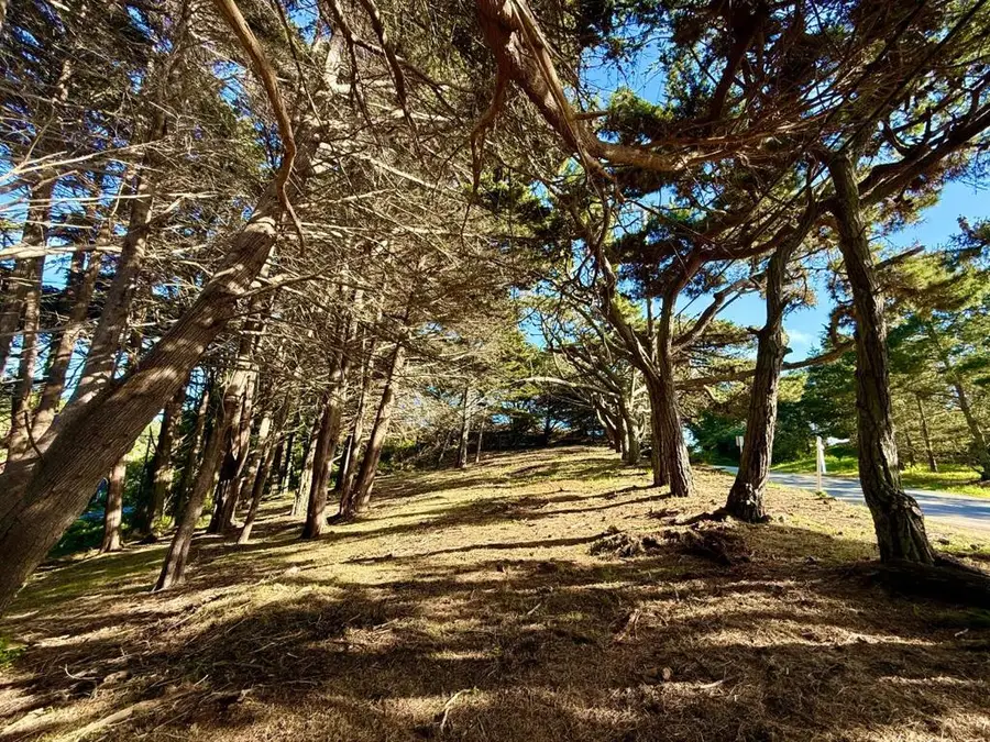 37022240 Carlos Street, Moss Beach, CA 94038 - #2