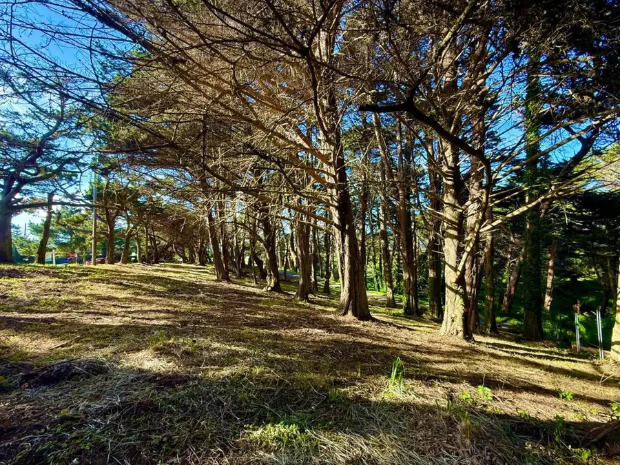 37022240 Carlos Street, Moss Beach, CA 94038 - #3