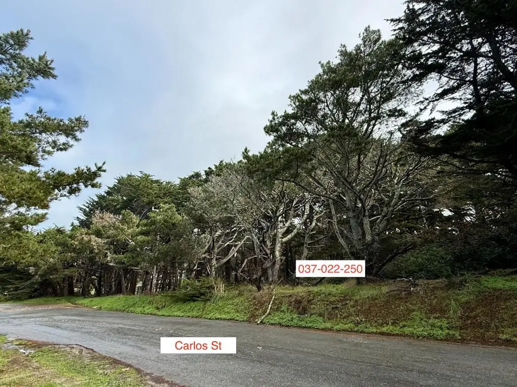 37022250 Carlos, Moss Beach, CA 94038 - #1